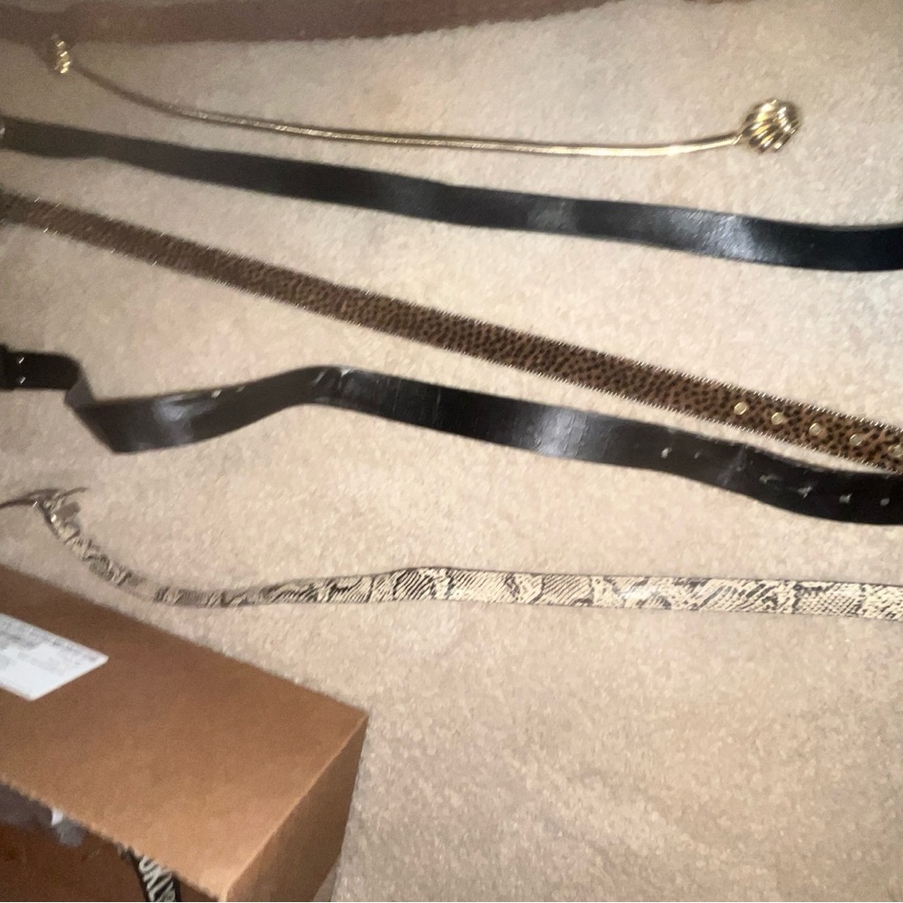 Assorted Colorful Belts Collection - Picture 5 of 8
